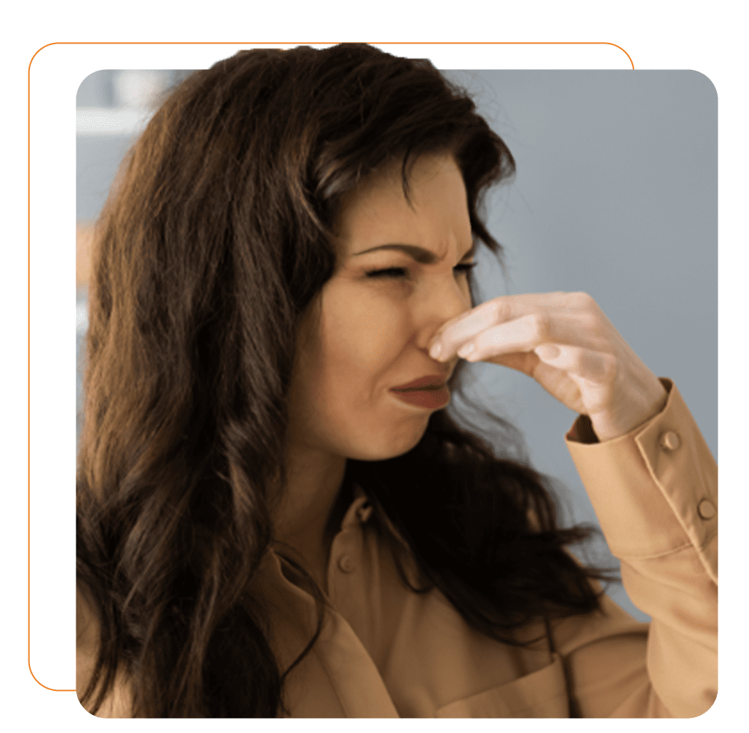 Selling House With Bad Smells